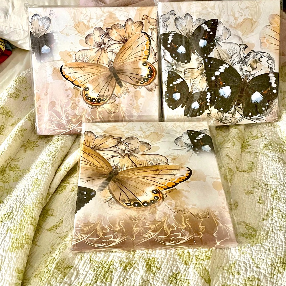 Set of 3 butterfly wall pictures